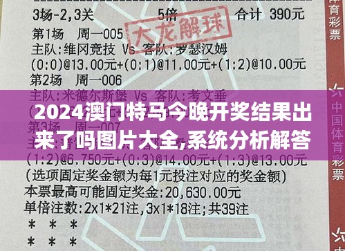 2024澳门特马今晚开奖结果出来了吗图片大全,系统分析解答解释方案_IEX3.65.42绿色版