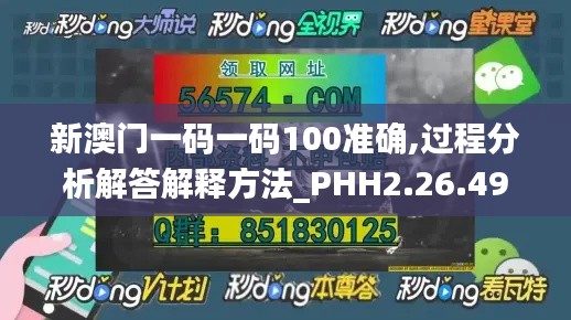 新澳门一码一码100准确,过程分析解答解释方法_PHH2.26.49直观版