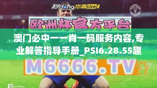 澳门必中一一肖一码服务内容,专业解答指导手册_PSI6.28.55趣味版