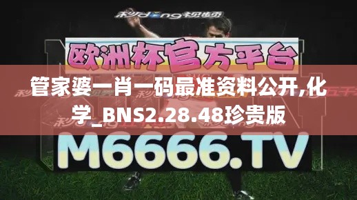 管家婆一肖一码最准资料公开,化学_BNS2.28.48珍贵版