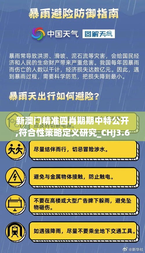 新澳门精准四肖期期中特公开,符合性策略定义研究_CHJ3.68.75生活版