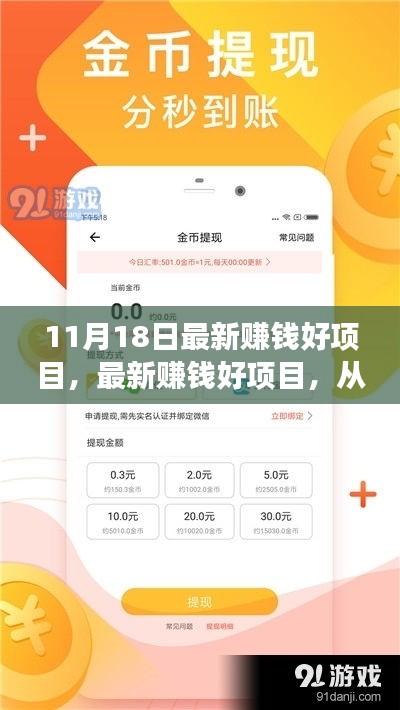 最新赚钱好项目全攻略，从零起步掌握赚钱新技能