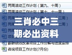 三肖必中三期必出资料,定性解答解释落实_OOB8.80.73限定版