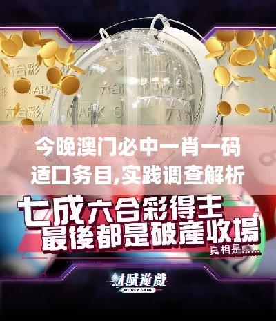 今晚澳门必中一肖一码适囗务目,实践调查解析说明_QGO5.55.28同步版