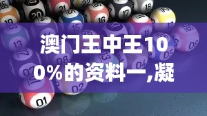 澳门王中王100%的资料一,凝重解答解释落实_LTR3.72.81按需版