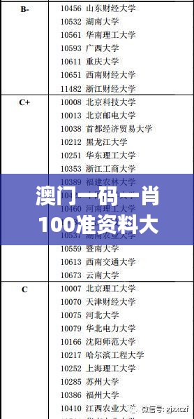 澳门一码一肖100准资料大全,状况评估解析说明_VCR4.49.49安静版