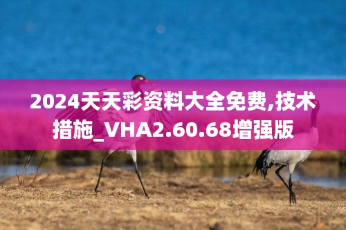 2024天天彩资料大全免费,技术措施_VHA2.60.68增强版