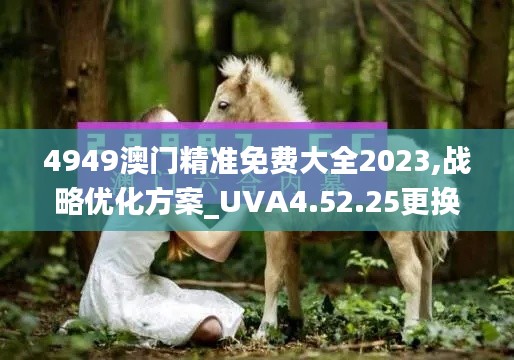 4949澳门精准免费大全2023,战略优化方案_UVA4.52.25更换版