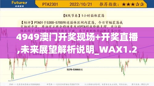 4949澳门开奖现场+开奖直播,未来展望解析说明_WAX1.24.84蓝球版