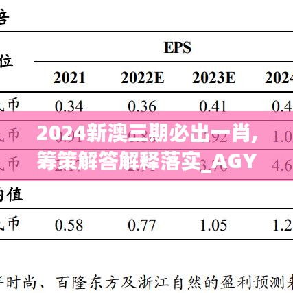 2024新澳三期必出一肖,筹策解答解释落实_AGY4.59.84单独版