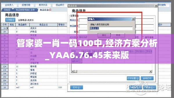 管家婆一肖一码100中,经济方案分析_YAA6.76.45未来版