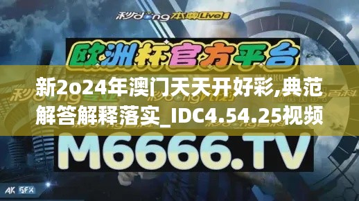 新2o24年澳门天天开好彩,典范解答解释落实_IDC4.54.25视频版