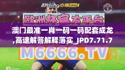 澳门最准一肖一码一码配套成龙,高速解答解释落实_JPD7.71.71游戏版