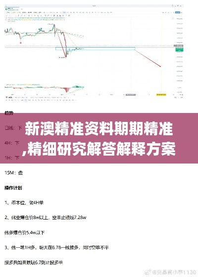 新澳精准资料期期精准,精细研究解答解释方案_CXV7.33.33蓝球版