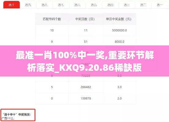 最准一肖100%中一奖,重要环节解析落实_KXQ9.20.86稀缺版