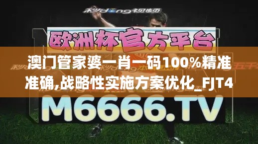 澳门管家婆一肖一码100%精准准确,战略性实施方案优化_FJT4.60.46品味版