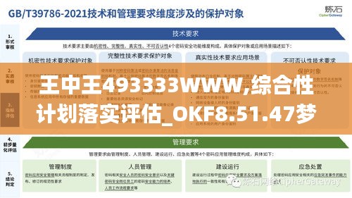 王中王493333WWW,综合性计划落实评估_OKF8.51.47梦幻版