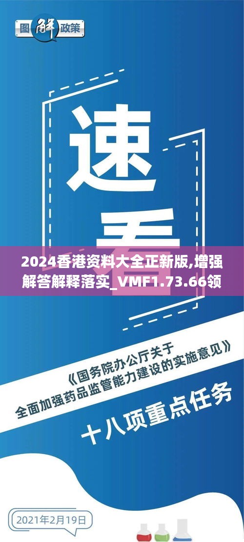 2024香港资料大全正新版,增强解答解释落实_VMF1.73.66领航版