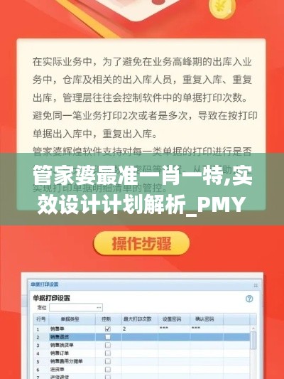 管家婆最准一肖一特,实效设计计划解析_PMY9.21.46连续版