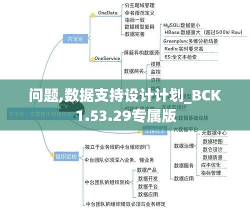 问题,数据支持设计计划_BCK1.53.29专属版