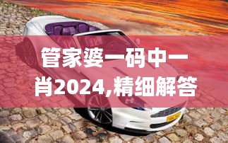 管家婆一码中一肖2024,精细解答解释落实_AMG6.55.50精装版