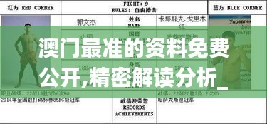 澳门最准的资料免费公开,精密解读分析_RCR5.18.85原型版