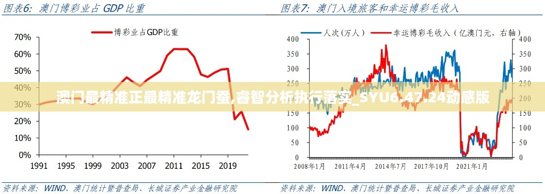 澳门最精准正最精准龙门蚕,睿智分析执行落实_SYU6.47.24动感版