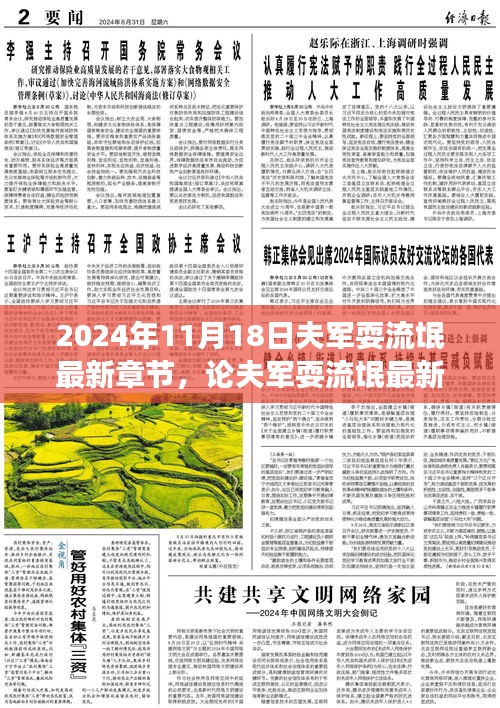 论夫军耍流氓事件，复杂视角与我的观点——最新章节分析（2024年11月）