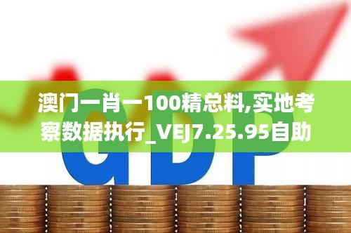 澳门一肖一100精总料,实地考察数据执行_VEJ7.25.95自助版