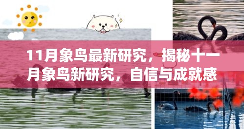 揭秘十一月象鸟新研究，探索变化中的学习之旅，成就自信与成长源泉