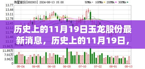 历史上的11月19日玉龙股份最新消息，历史上的11月19日，玉龙股份最新消息深度解析与观点阐述