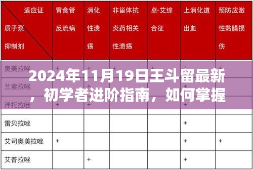 初学者进阶指南，掌握王斗留最新技能，2024年11月版实战攻略