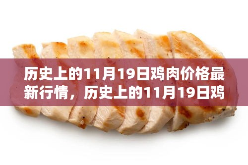 揭秘历史与最新行情，11月19日鸡肉价格动态一网打尽