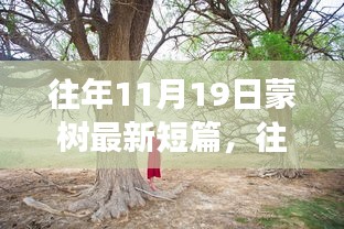 多维度视角下的深度探讨，蒙树最新短篇分享（往年11月19日）