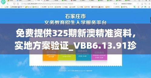 免费提供325期新澳精准资料，实地方案验证_VBB6.13.91珍藏版