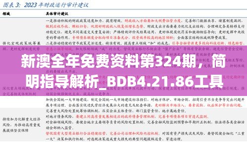 新澳全年免费资料第324期，简明指导解析_BDB4.21.86工具版