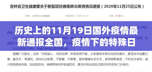 共同见证历史，国外疫情最新通报下的特殊日子——11月19日全国疫情回顾