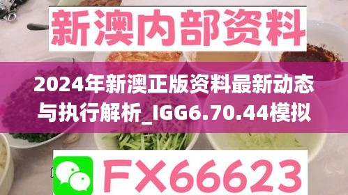 2024年新澳正版资料最新动态与执行解析_IGG6.70.44模拟版