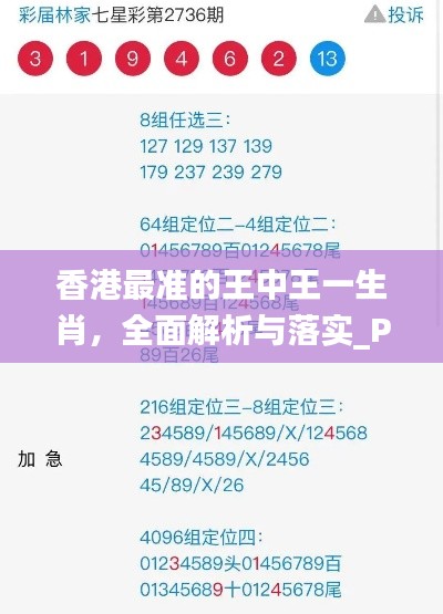 香港最准的王中王一生肖，全面解析与落实_PIJ5.37.63父母版