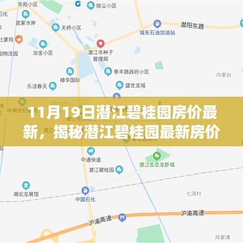 揭秘潜江碧桂园最新房价与小巷特色小店探秘之旅