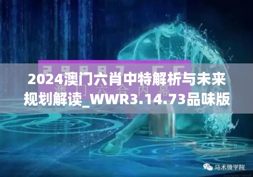 2024澳门六肖中特解析与未来规划解读_WWR3.14.73品味版