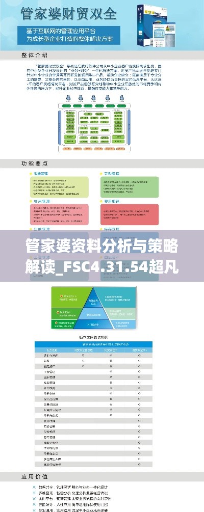 管家婆资料分析与策略解读_FSC4.31.54超凡版