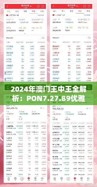 2024年澳门王中王全解析：PON7.27.89优雅版数据导向程序