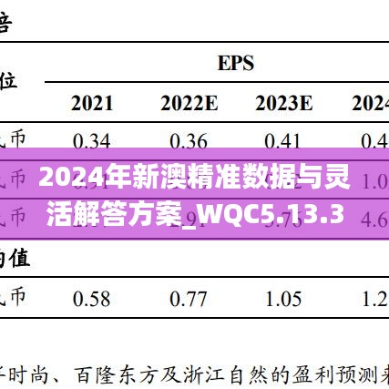 2024年新澳精准数据与灵活解答方案_WQC5.13.33特别版