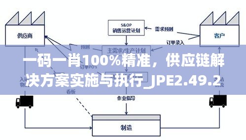 一码一肖100%精准，供应链解决方案实施与执行_JPE2.49.28行业版