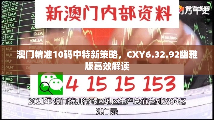 澳门精准10码中特新策略，CXY6.32.92幽雅版高效解读