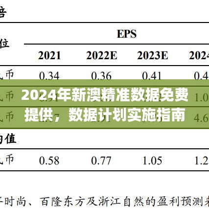 2024年新澳精准数据免费提供，数据计划实施指南_QXI9.41.38知识版