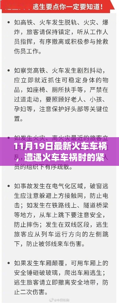 11月19日火车车祸紧急应对指南，初学者到进阶用户的必备知识