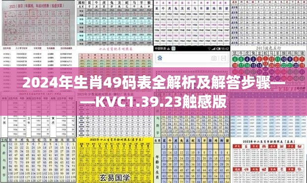 2024年生肖49码表全解析及解答步骤——KVC1.39.23触感版