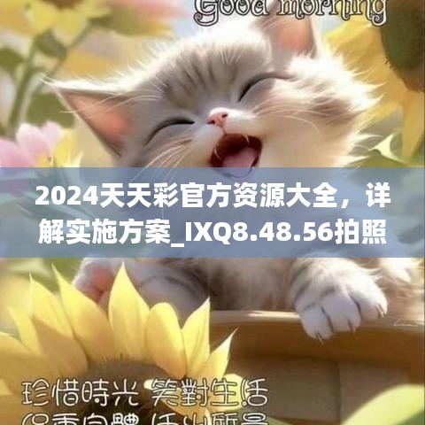 2024天天彩官方资源大全，详解实施方案_IXQ8.48.56拍照版